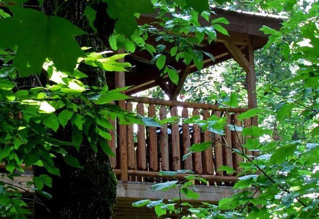 Villa #2903 Abundantly Blessed Pigeon Forge Exterior foto